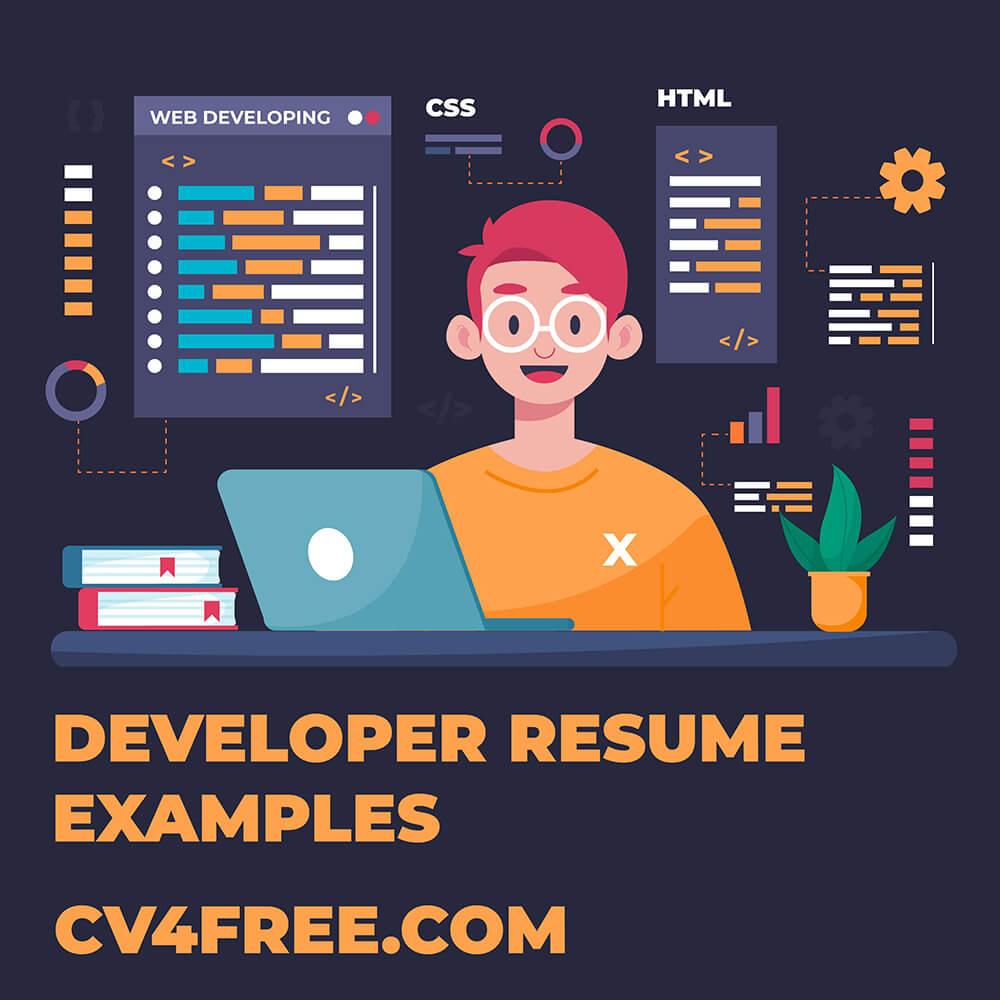 CV4Free - Developer Resume Examples