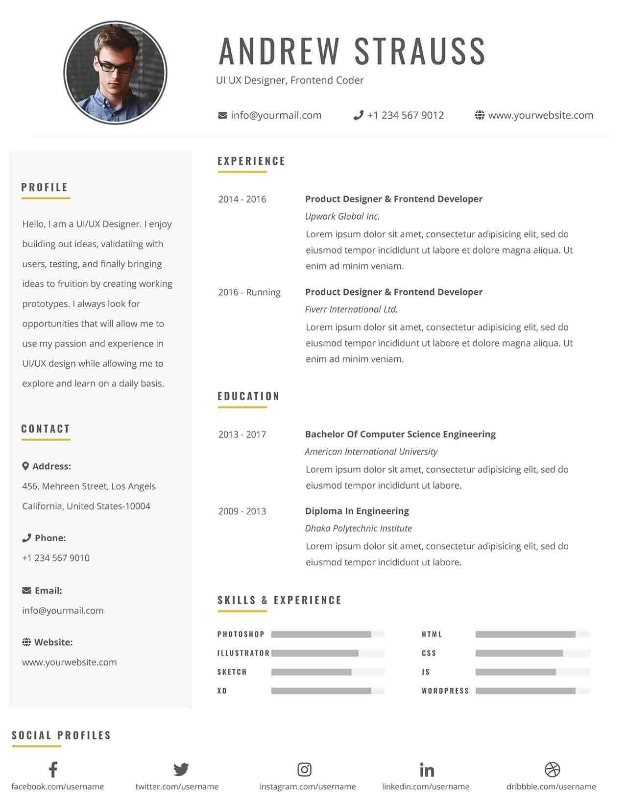 CV4Free - Front End Developer Resume Example