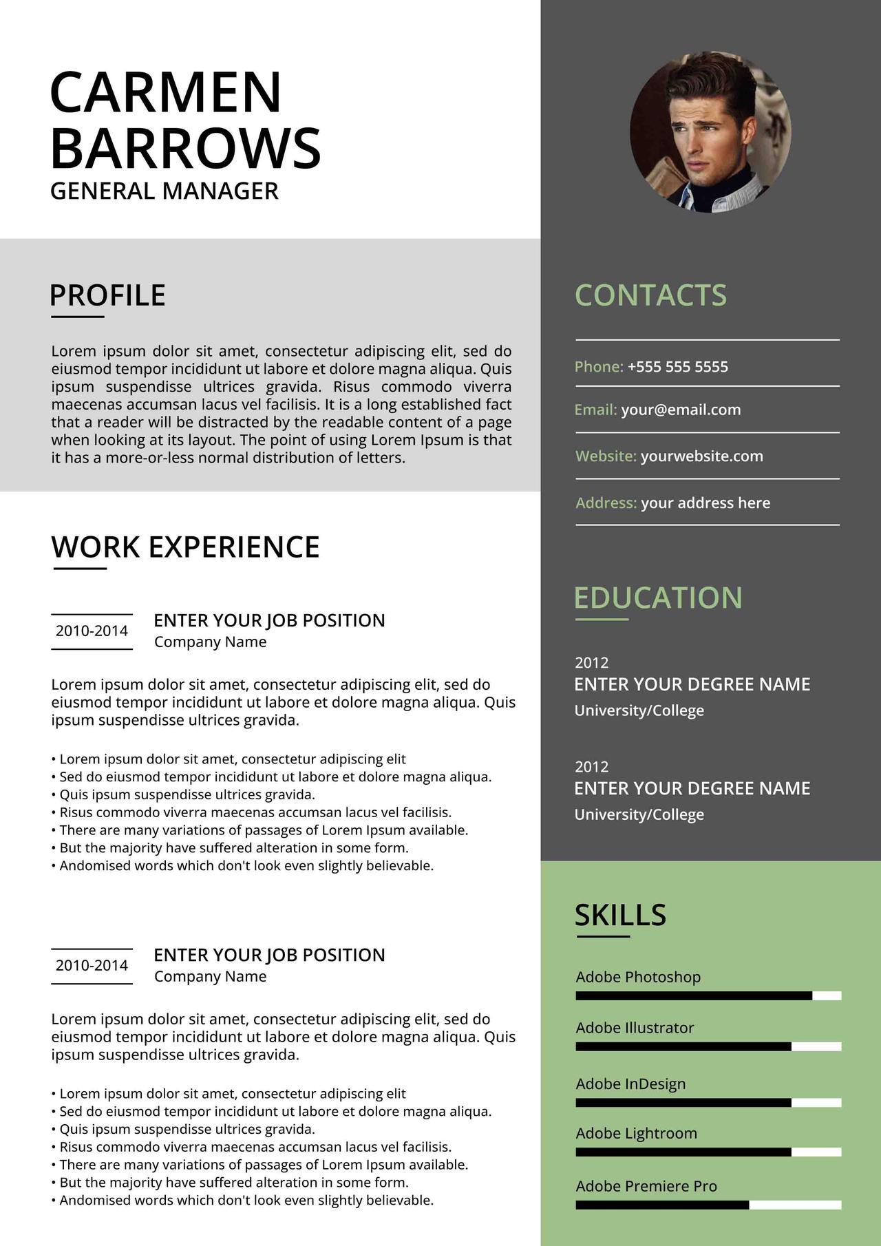 CV4Free - General Manager Resume Examples & Guide