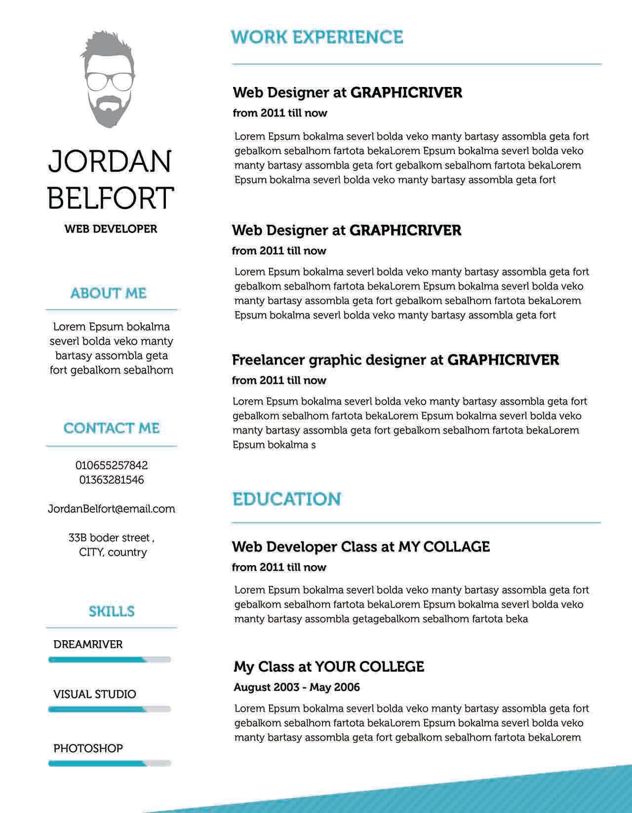 CV4Free - Standout Web Developer Professional Resume
